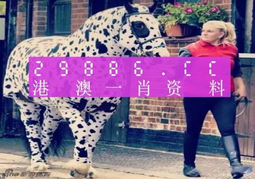 王中王一肖一特一中香港，探索關(guān)鍵詞背后的故事，香港關(guān)鍵詞背后的故事探索，王中王一肖一特一中