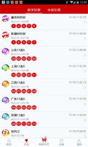 一碼一肖，揭秘背后的秘密與探索其獨(dú)特魅力，揭秘一碼一肖背后的秘密與獨(dú)特魅力探索
