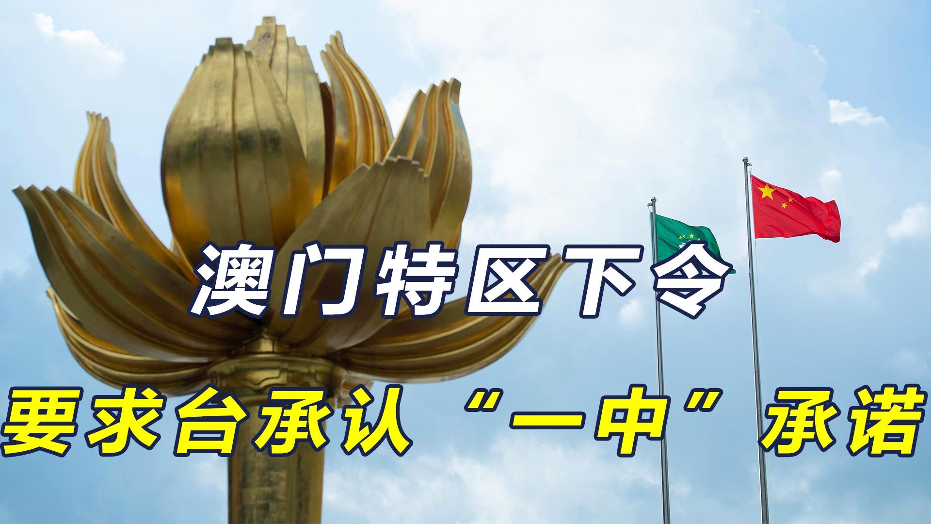 澳門一碼一肖一恃一中312期，揭秘與探索彩票文化背后的秘密，澳門彩票文化揭秘，一碼一肖背后的探索與奧秘