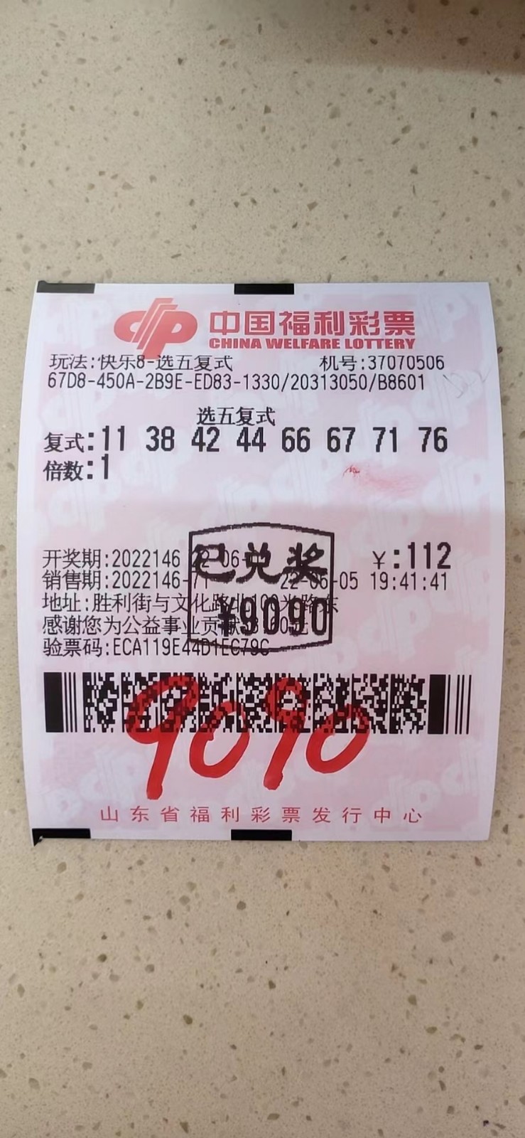 揭秘002期王中王平特一肖，背后的故事與奧秘，揭秘王中王平特一肖背后的故事與奧秘（第002期）