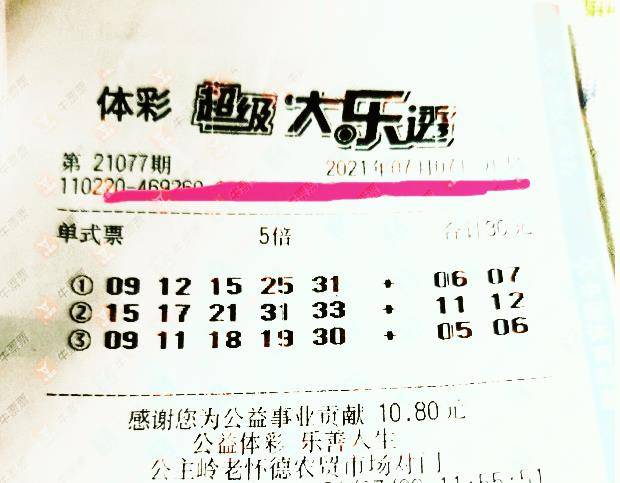 王中王077期指一生肖——揭秘背后的奧秘與生肖運(yùn)勢(shì)分析，揭秘生肖奧秘與運(yùn)勢(shì)分析，王中王生肖預(yù)測(cè)077期揭曉！
