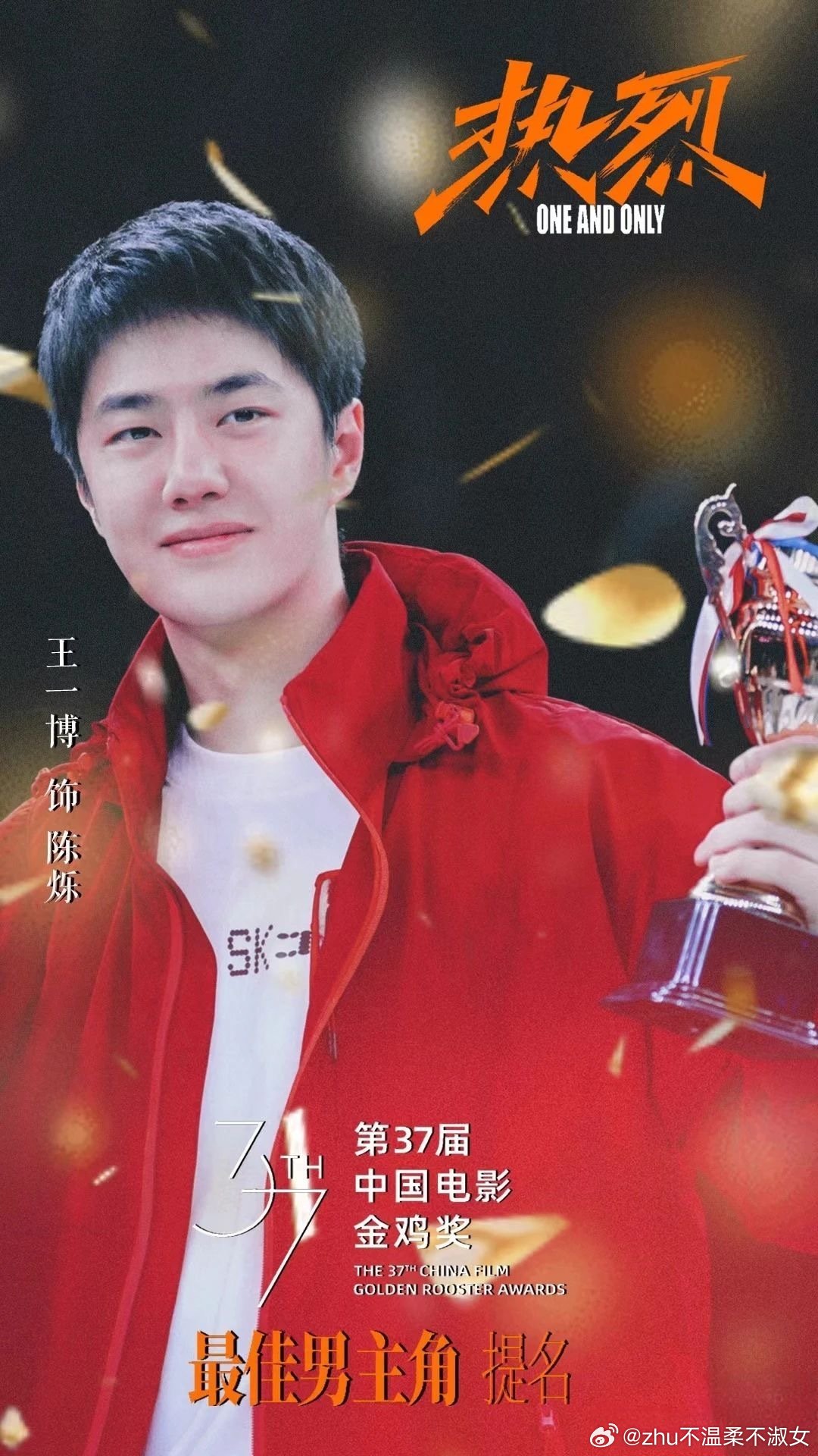 王中王一肖一特一中一中，探尋背后的故事與奧秘，探尋王中王一肖背后的故事與奧秘