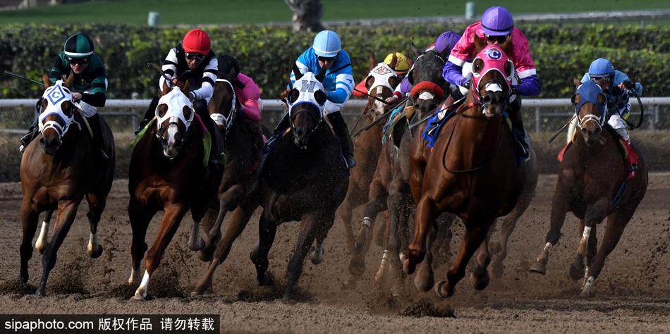 王中王與一馬中特，探尋生肖之魅力——關于生肖屬相的獨特解讀，揭秘生肖魅力，王中王與一馬中特的獨特解讀