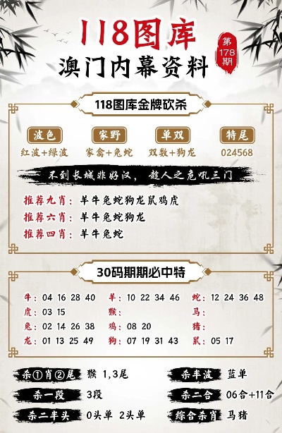 新澳新澳門正版資料，探索與解析，新澳新澳門正版資料深度解析與探索