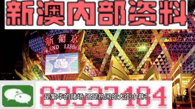 新澳門精準資料大全管家婆料，探索與解析，澳門精準資料大全解析，探索管家婆料內(nèi)幕