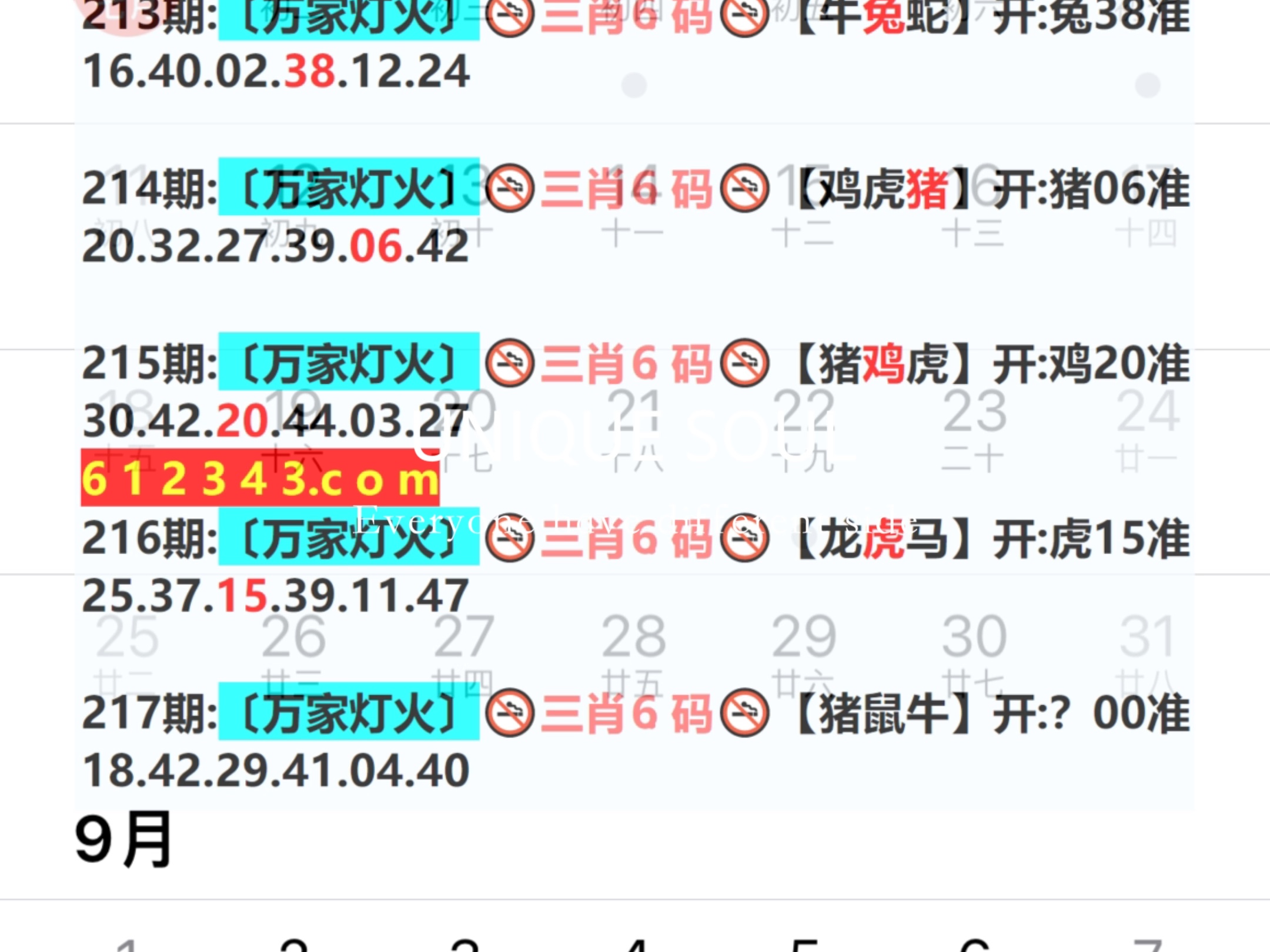 新奧今日六肖中特，揭秘背后的秘密與趨勢分析，揭秘新奧今日六肖中特背后的秘密與趨勢分析