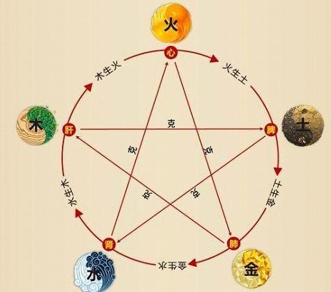 鐵算算盤4887最準(zhǔn)資料，揭秘其背后的秘密與優(yōu)勢，揭秘鐵算算盤4887，最準(zhǔn)資料背后的秘密與優(yōu)勢