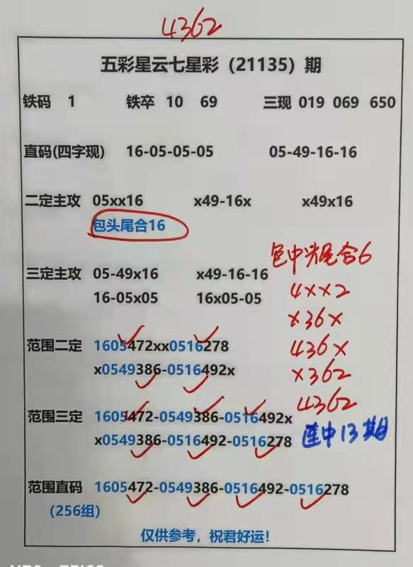 迎接美好未來，2025天天好彩，迎接美好未來，2025年天天精彩無限