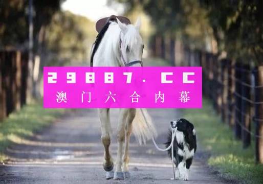 澳門彩的奧秘世界與SEO優(yōu)化策略探討 —— www.04812com的獨(dú)家解析，澳門彩奧秘與SEO優(yōu)化策略獨(dú)家解析，www.04812com深度探討
