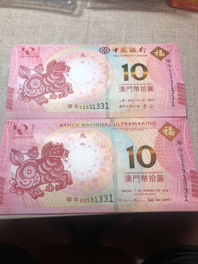 揭秘明天澳門必中生肖的神秘面紗，揭秘明天澳門必中生肖的神秘秘密