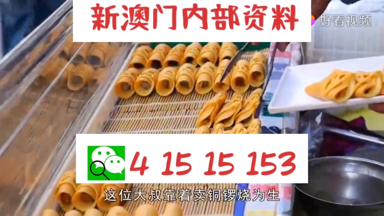 新天天彩免費(fèi)資料大全300期，探索彩票世界的奧秘與機(jī)會(huì)，探索彩票世界奧秘與機(jī)會(huì)的新天天彩免費(fèi)資料大全300期