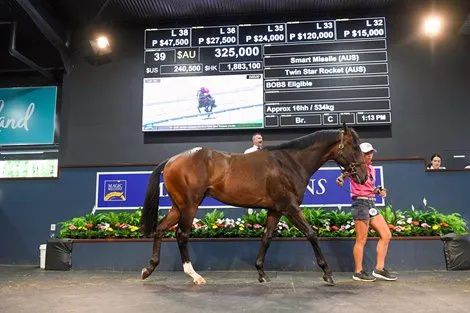 香港最精準的特馬資料，揭秘賽馬世界的秘密，香港精準特馬資料揭秘，賽馬世界的奧秘探秘