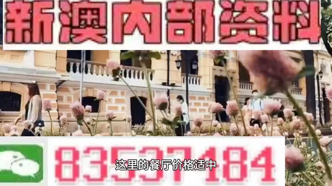 新澳門，探索最精準(zhǔn)、最快的信息更新速度，新澳門，追求最快速、精準(zhǔn)的信息更新之道