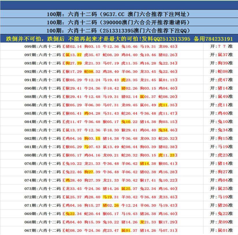 澳門無錯九肖今日搜狗，探索與解析，澳門無錯九肖今日搜狗，深度解析與探索
