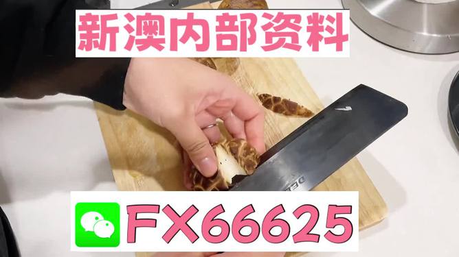 澳門九點(diǎn)半9點(diǎn)半網(wǎng)站——探索其魅力與優(yōu)勢(shì)，澳門九點(diǎn)半網(wǎng)站，魅力與優(yōu)勢(shì)探索