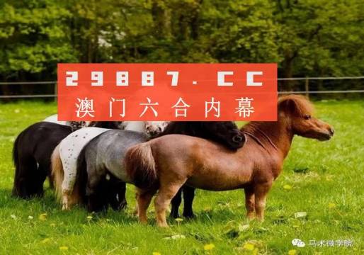 一馬中特內(nèi)部精準(zhǔn)資料免費(fèi)大公開，揭秘行業(yè)秘密，助力個(gè)人成長，揭秘行業(yè)秘密，一馬中特內(nèi)部精準(zhǔn)資料大公開，助力個(gè)人成長免費(fèi)獲取