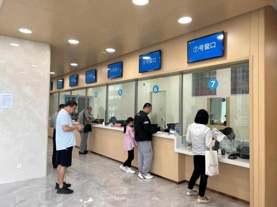 新門內(nèi)部資料免費(fèi)下載——探索與揭秘，新門內(nèi)部資料揭秘，免費(fèi)下載與探索之旅