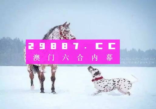 澳門一肖一碼狀元紅，揭秘彩票背后的秘密與策略，澳門彩票揭秘，狀元紅背后的秘密與策略解析